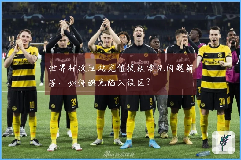 世界杯投注站充值提款常见问题解答，如何避免陷入误区？
