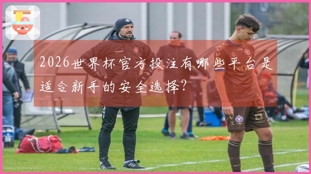 2026世界杯官方投注有哪些平台是适合新手的安全选择？