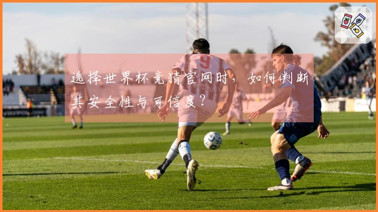 选择世界杯竞猜官网时，如何判断其安全性与可信度？