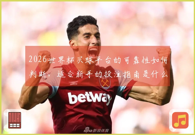 2026世界杯买球平台的可靠性如何判断，适合新手的投注指南是什么