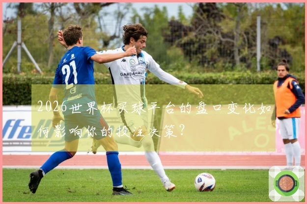 2026世界杯买球平台的盘口变化如何影响你的投注决策？