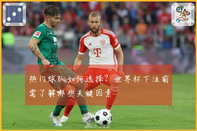 热门球队如何选择？世界杯下注前需了解哪些关键因素
