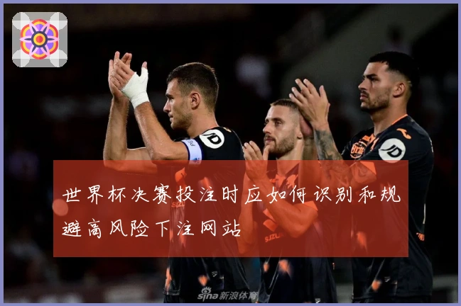 世界杯决赛投注时应如何识别和规避高风险下注网站