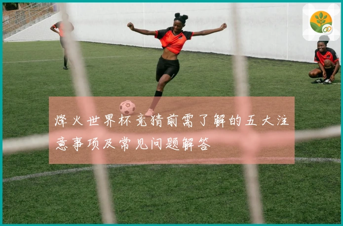 烽火世界杯竞猜前需了解的五大注意事项及常见问题解答