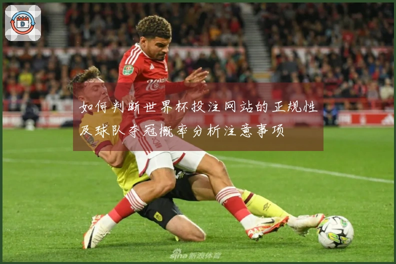 如何判断世界杯投注网站的正规性及球队夺冠概率分析注意事项