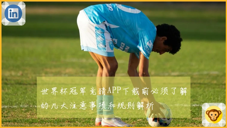世界杯冠军竞猜APP下载前必须了解的几大注意事项和规则解析