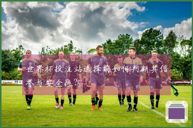 世界杯投注站选择前如何判断其信誉与安全性？