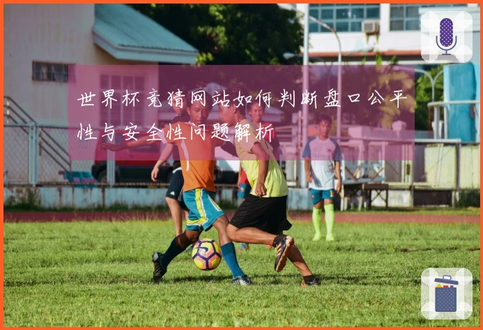 世界杯竞猜网站如何判断盘口公平性与安全性问题解析