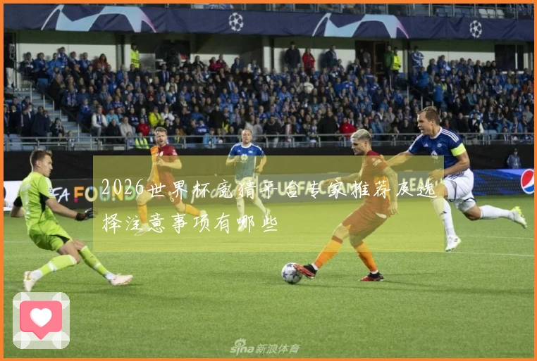 2026世界杯竞猜平台专家推荐及选择注意事项有哪些