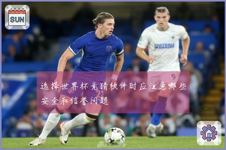 选择世界杯竞猜软件时应注意哪些安全和信誉问题