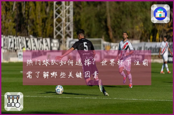热门球队如何选择？世界杯下注前需了解哪些关键因素