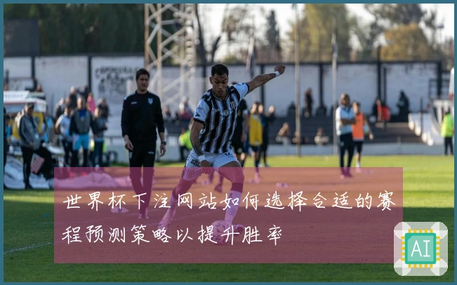 世界杯下注网站如何选择合适的赛程预测策略以提升胜率
