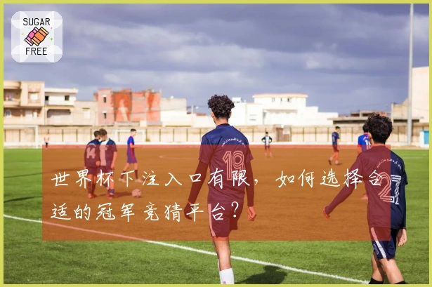 世界杯下注入口有限，如何选择合适的冠军竞猜平台？