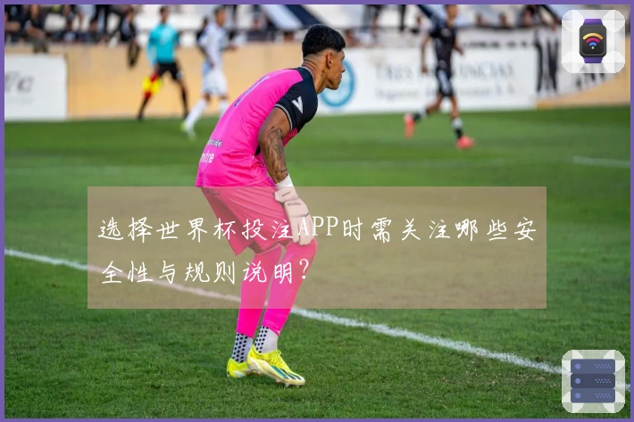 选择世界杯投注APP时需关注哪些安全性与规则说明？