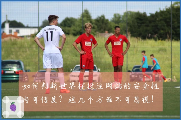 如何判断世界杯投注网站的安全性与可信度？这几个方面不可忽视！