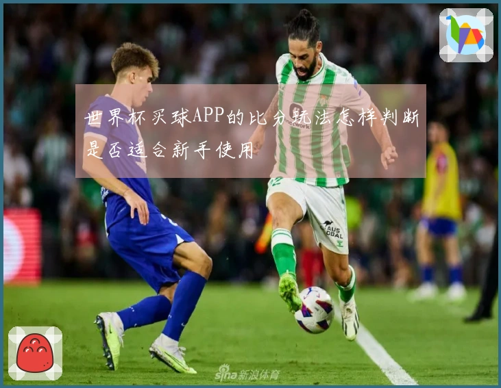 世界杯买球APP的比分玩法怎样判断是否适合新手使用