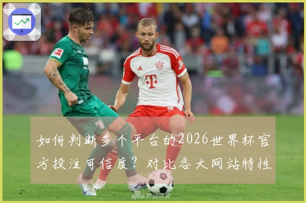 如何判断多个平台的2026世界杯官方投注可信度？对比各大网站特性与风险提示