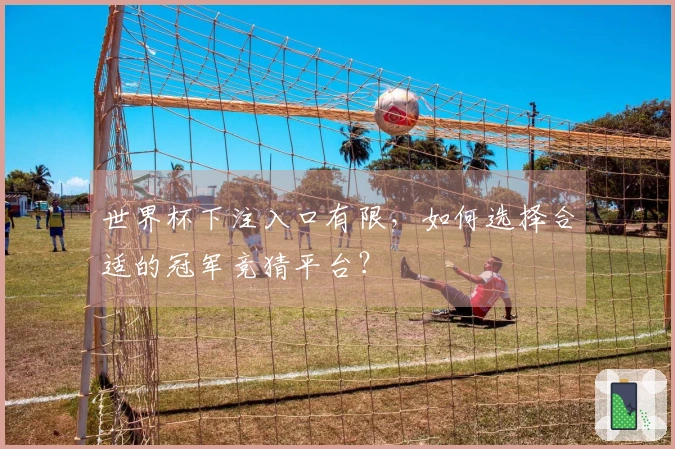 世界杯下注入口有限，如何选择合适的冠军竞猜平台？