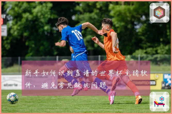 新手如何识别靠谱的世界杯竞猜软件，避免常见踩坑问题