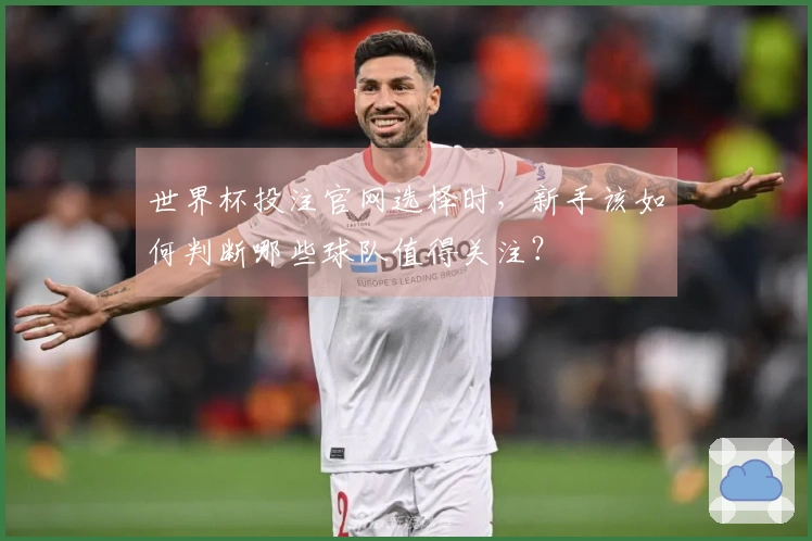 世界杯投注官网选择时，新手该如何判断哪些球队值得关注？