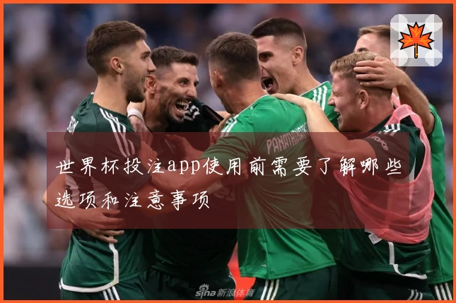 世界杯投注app使用前需要了解哪些选项和注意事项