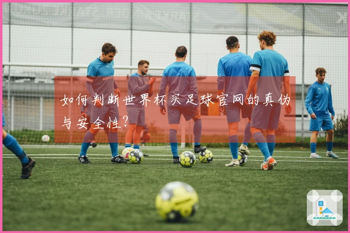 如何判断世界杯买足球官网的真伪与安全性？