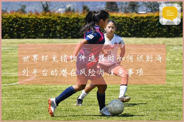 世界杯竞猜软件选择时如何识别海外平台的潜在风险与注意事项