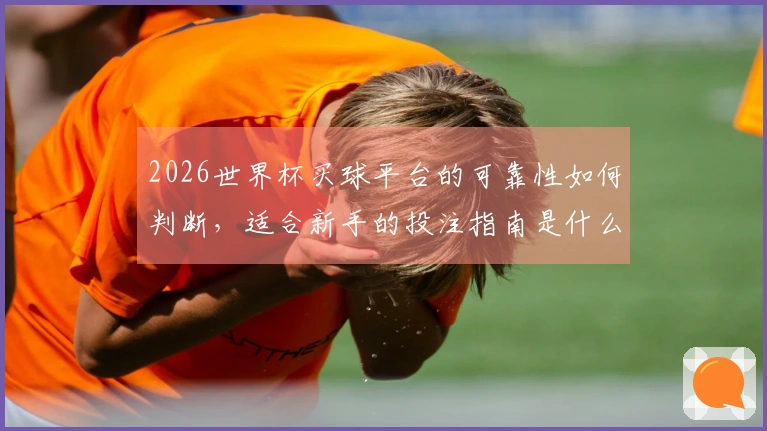 2026世界杯买球平台的可靠性如何判断，适合新手的投注指南是什么