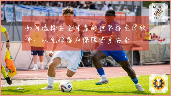 如何选择安全可靠的世界杯竞猜软件，以免踩雷和保障资金安全