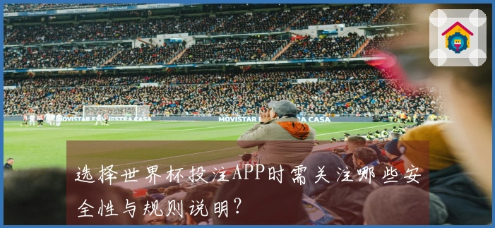 选择世界杯投注APP时需关注哪些安全性与规则说明？