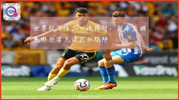 世界杯下注入口选择时，新手应避免哪些常见误区和陷阱