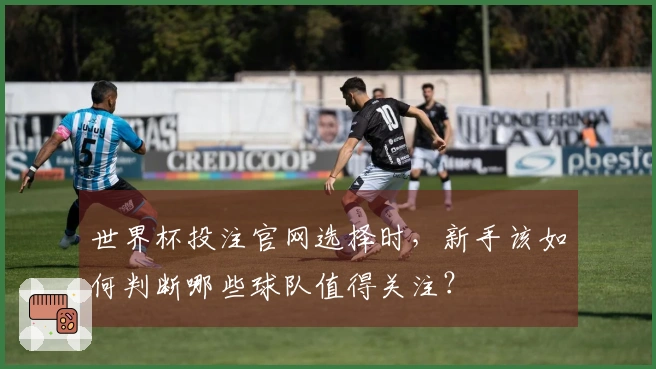 世界杯投注官网选择时，新手该如何判断哪些球队值得关注？