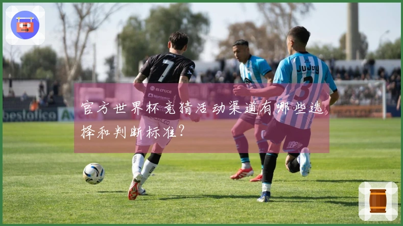 官方世界杯竞猜活动渠道有哪些选择和判断标准？