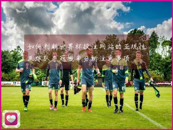 如何判断世界杯投注网站的正规性及球队夺冠概率分析注意事项