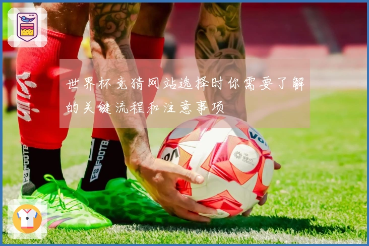 世界杯竞猜网站选择时你需要了解的关键流程和注意事项