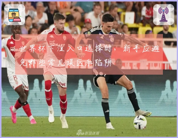 世界杯下注入口选择时，新手应避免哪些常见误区和陷阱
