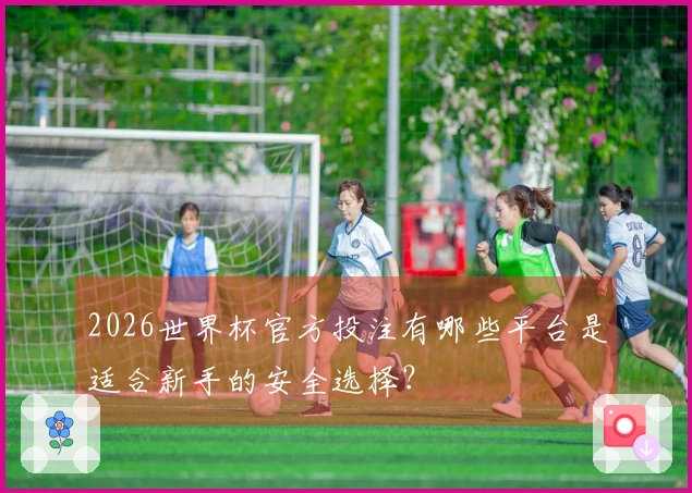 2026世界杯官方投注有哪些平台是适合新手的安全选择？