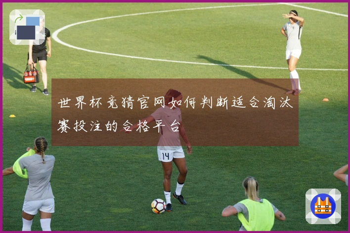 世界杯竞猜官网如何判断适合淘汰赛投注的合格平台