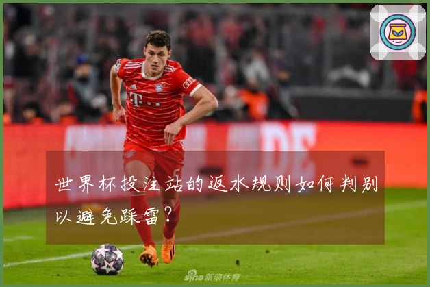 世界杯投注站的返水规则如何判别以避免踩雷？