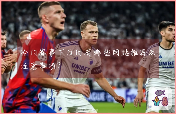 冷门赛事下注时有哪些网站推荐及注意事项？