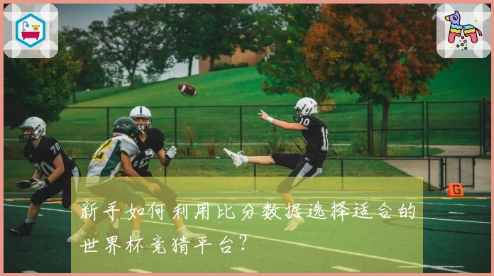 新手如何利用比分数据选择适合的世界杯竞猜平台？